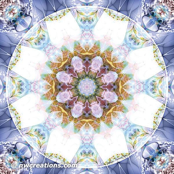 Mandalas from the Heart of Freedom 14