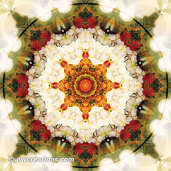 Mandalas from the Heart of Freedom 16