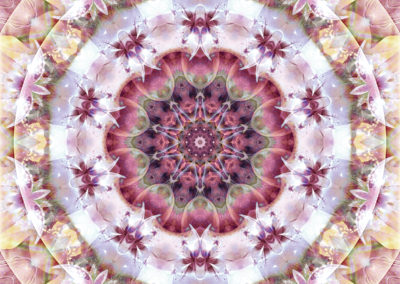 Mandalas from the Heart of Change 18