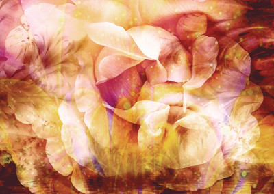 Floral Abstract 22