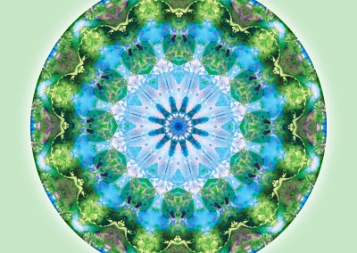 Mandalas from the Heart of Transformation 6