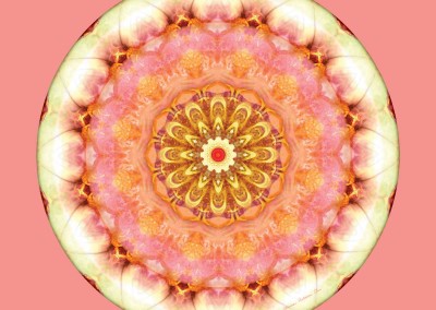 Mandalas from the Heart of Transformation 9