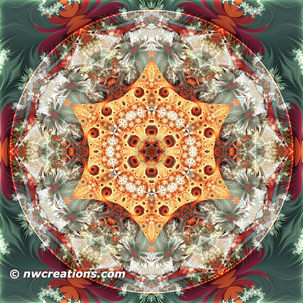 Mandalas from the Heart of Freedom 24