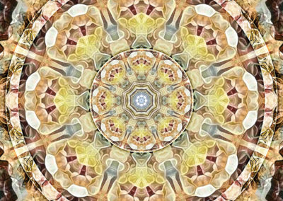 Mandalas from the Voice of Eternity 27